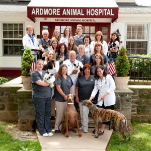 Main Line Staff Photographer for Ardmore Animal Hospital