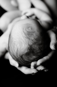Hands Newborn Portrait Photographer Main-Line