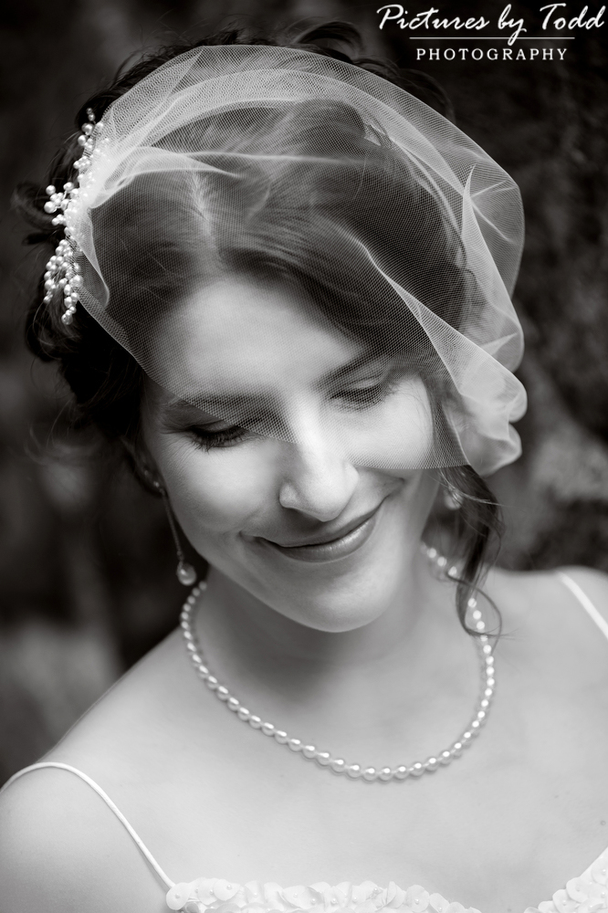 beautiful-bride-black-and-white-photo-wedding-veil