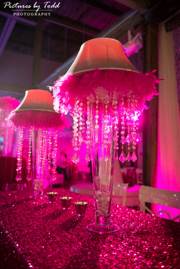Front-And-Palmer-All-Around-Entertainment-Mitzvah-Pink-Lamps-Feathers-Glitter