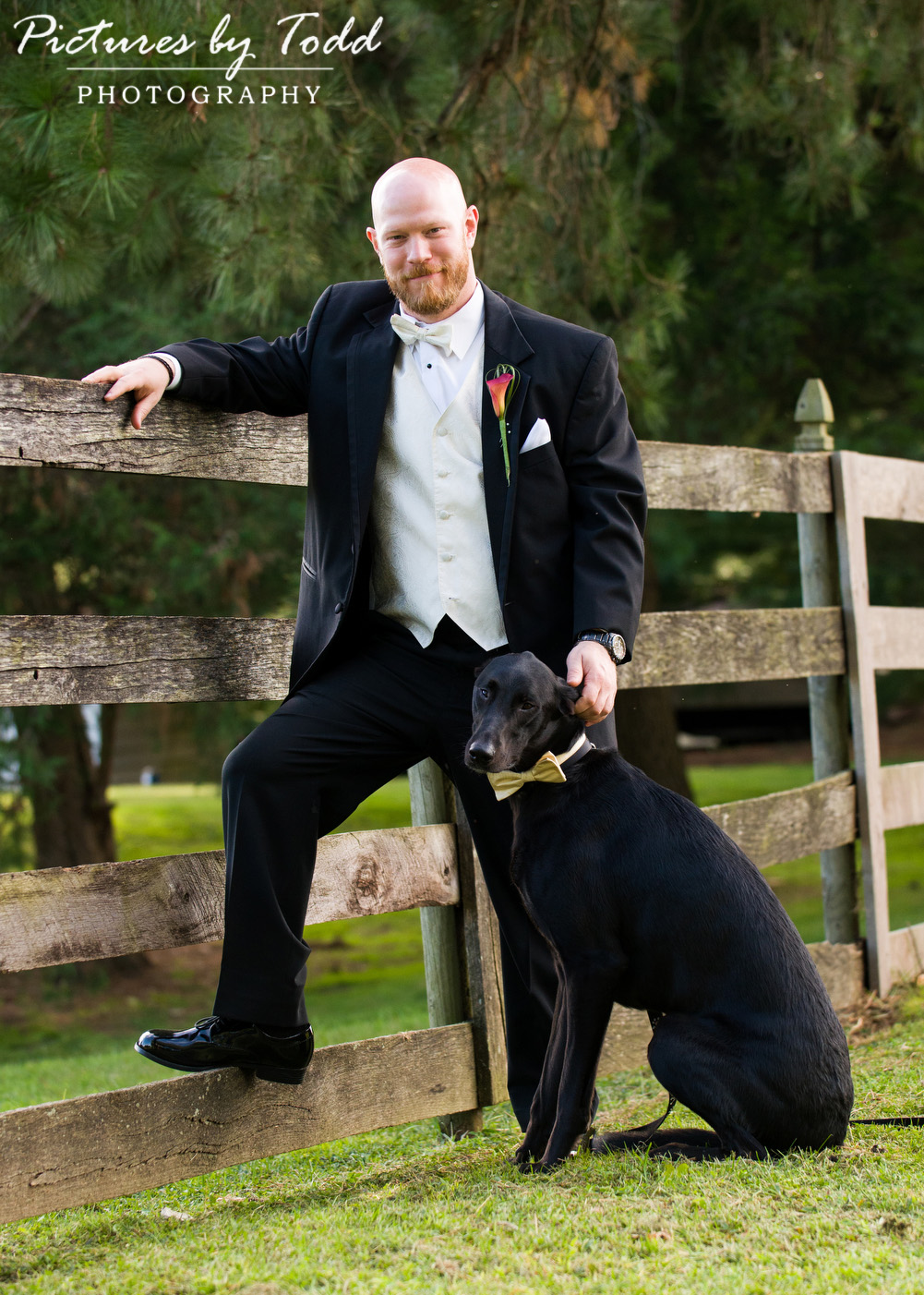 Dogs-at-Your-Weddings-Portraits