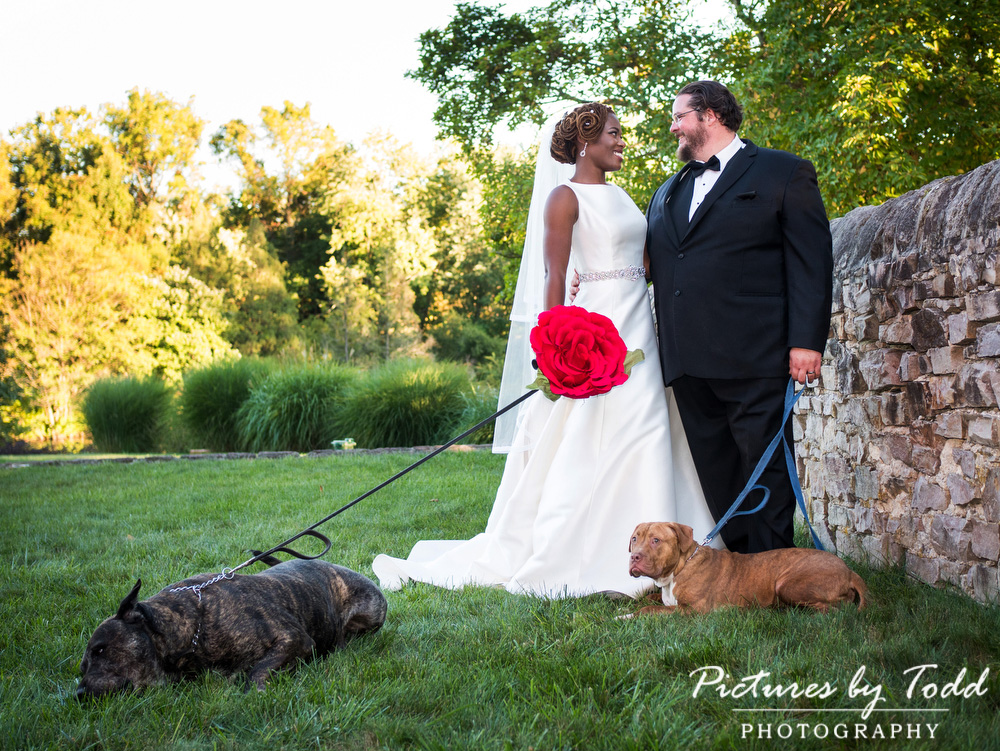 bride-and-groom-dogs-outdoor-philadelphia-romantic-sweet-love-eye-contact