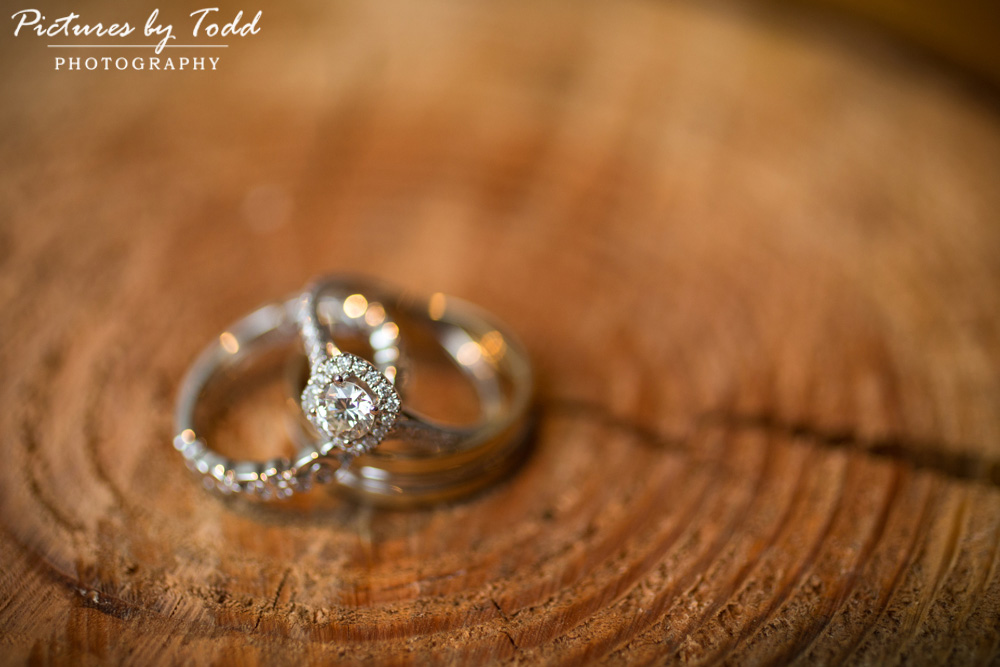 ring-shot-on-tree-pictures-by-todd